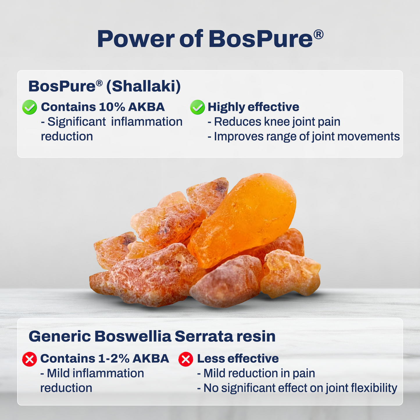 Pain Relief & Joint Mobility Tablets