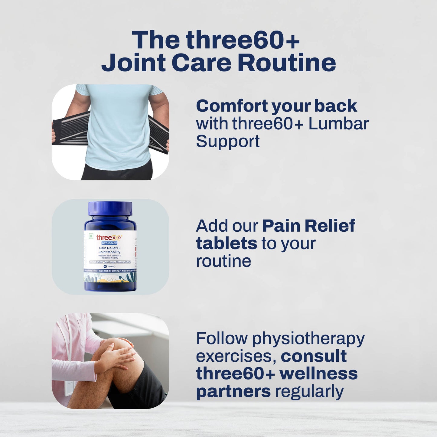 three60+ Lumbar Support