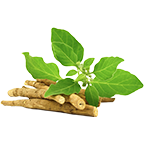 KSM-66® Ashwagandha