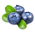 Blueberry