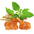 BosPure®& Ashwagandha