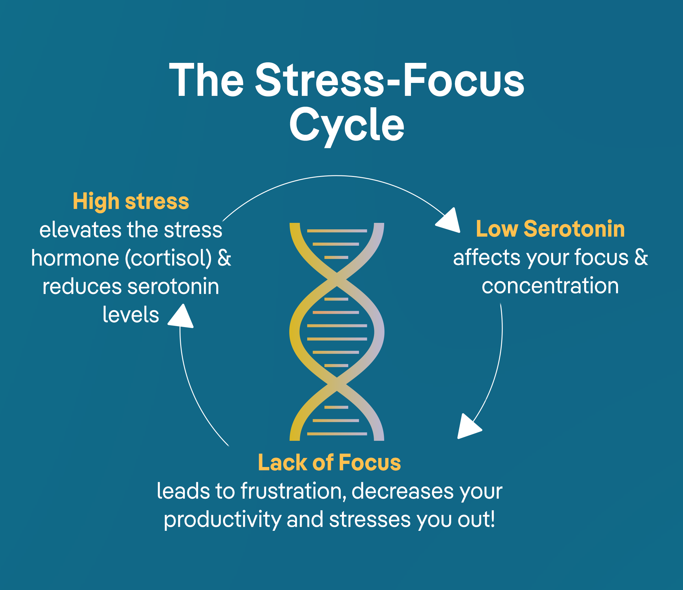 stress_cycle