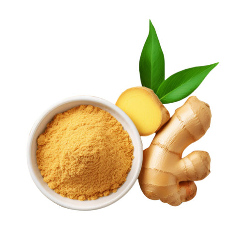 Ginger Rhizome Extract