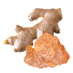 Yograj Guggul & Sunthi