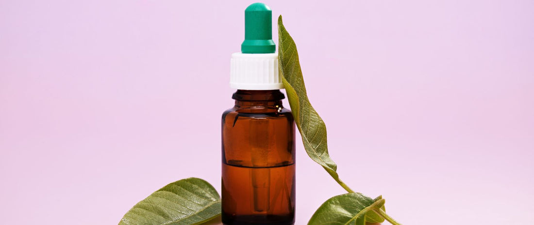 Wintergreen Oil Uses: Benefits and Uses Explained – Three60wellness