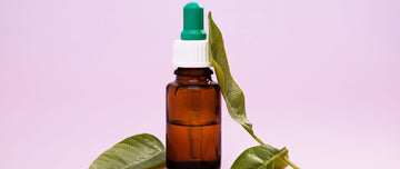 Wintergreen Oil Uses: Benefits and Uses Explained