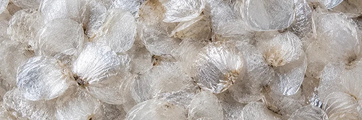 Hydrolyzed Marine Collagen