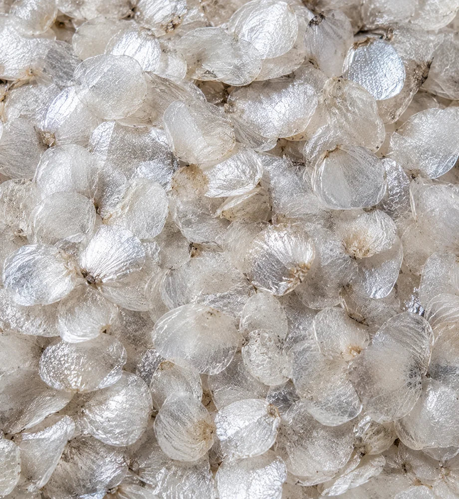Hydrolyzed Marine Collagen
