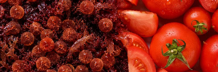 Astaxanthin & Lycopene