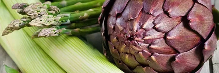 Inulin + Prebiotics