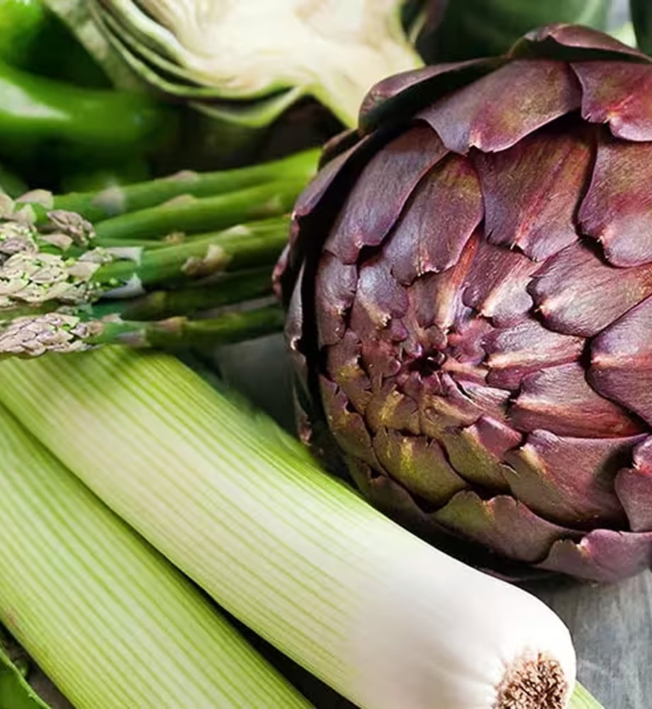 Inulin + Prebiotics