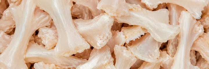 Undenatured Type II Collagen (UC-II equivalent)