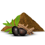 Synura® Forte Blend